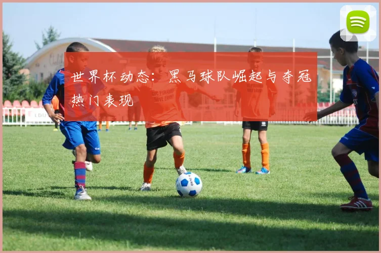 世界杯动态：黑马球队崛起与夺冠热门表现