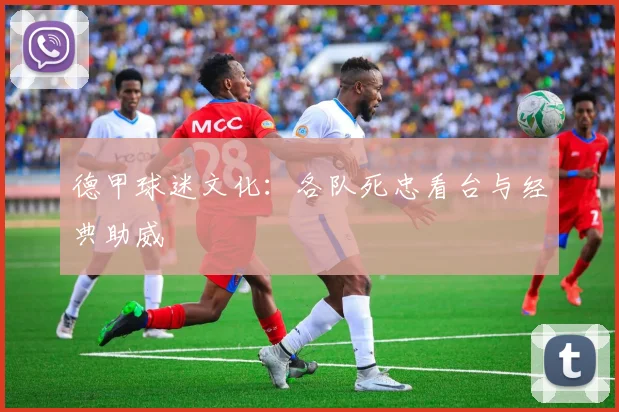 德甲球迷文化：各队死忠看台与经典助威
