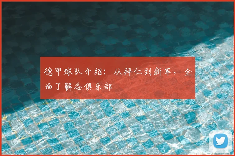德甲球队介绍:从拜仁到新军,全面了解各俱乐部