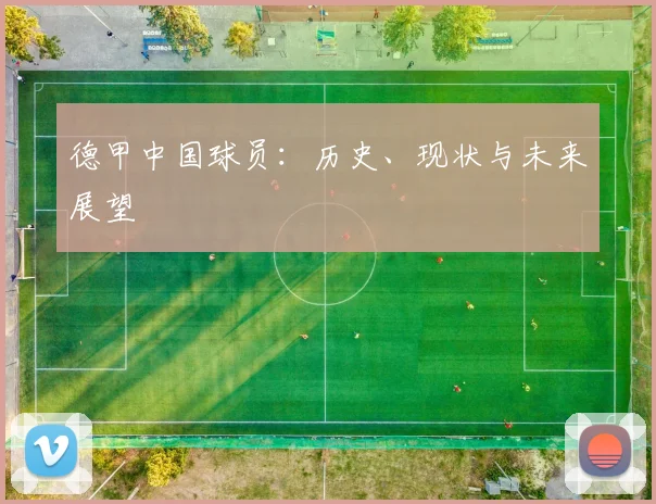 德甲中国球员：历史、现状与未来展望