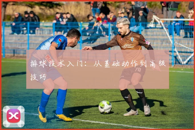 排球技术入门：从基础动作到高级技巧